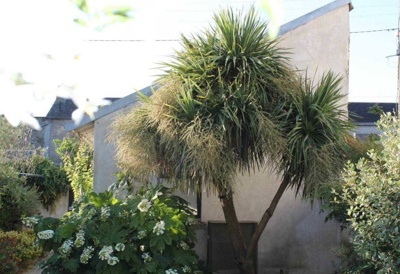 Duplex Confort Et Jardin Charmant Nantes Zewnętrze zdjęcie